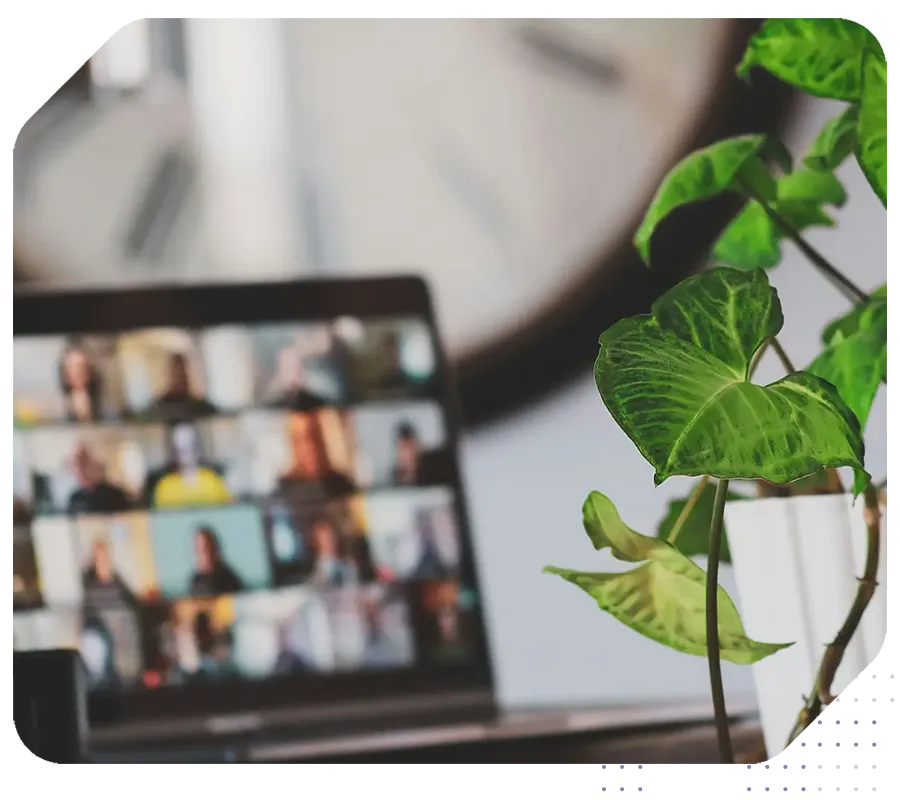 تصویر یک گل جلوی لپ تاپ